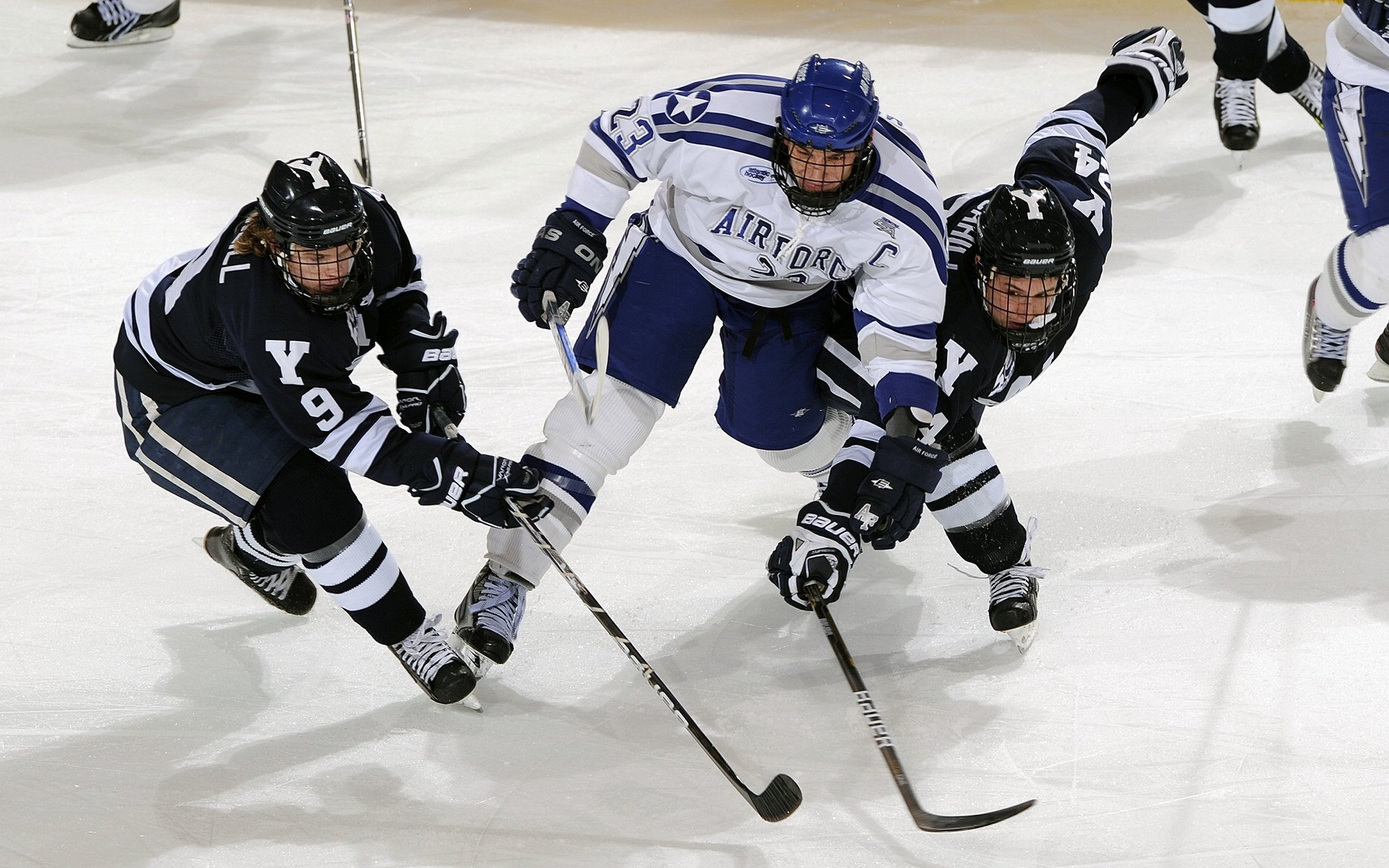 竞逐胜利：劲敌相遇，谁能笑到最后？，竞逐小说