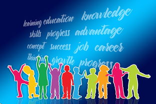 爱游戏内容中心-中国篮球职业联赛品牌战略及市场推广研究，中国的职业篮球联赛