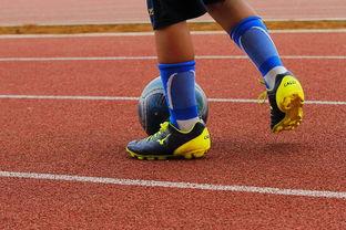 爱游戏智能体验-中国青少年篮球运动员体能素质发展规律，我国篮球青少年运动发展现状