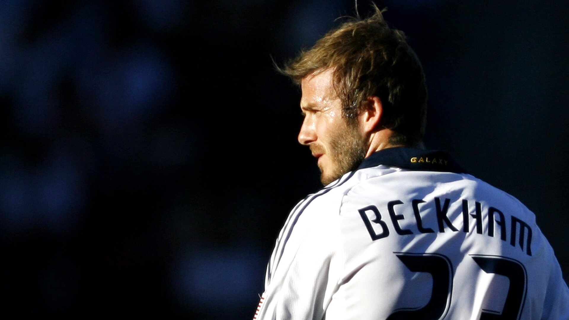 LPL新赛季预告片发布,lol新赛季宣传片